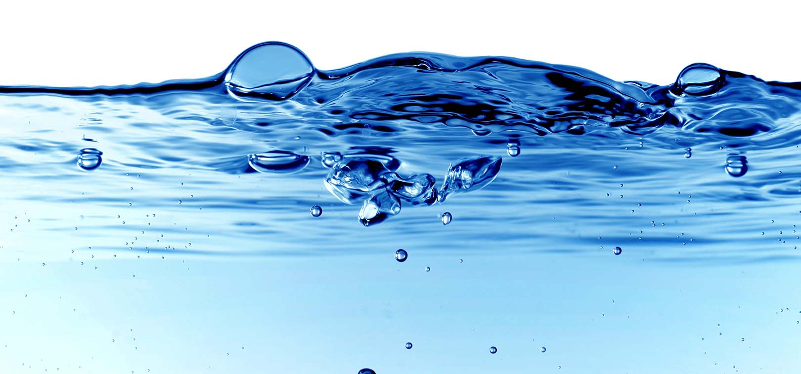 Почему мы плачем, когда режем лук?